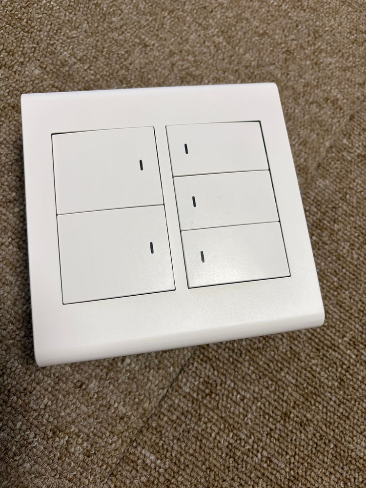 시하스 버튼형 스마트 스위치 SBM-300 5구 이미지