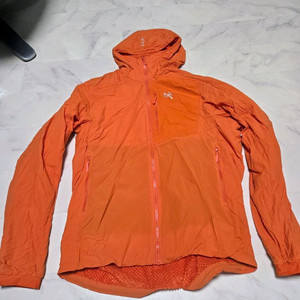 아크테릭스 프로톤라이트웨이트 후디 페놈 색상 L사이즈 팝니다. 이미지