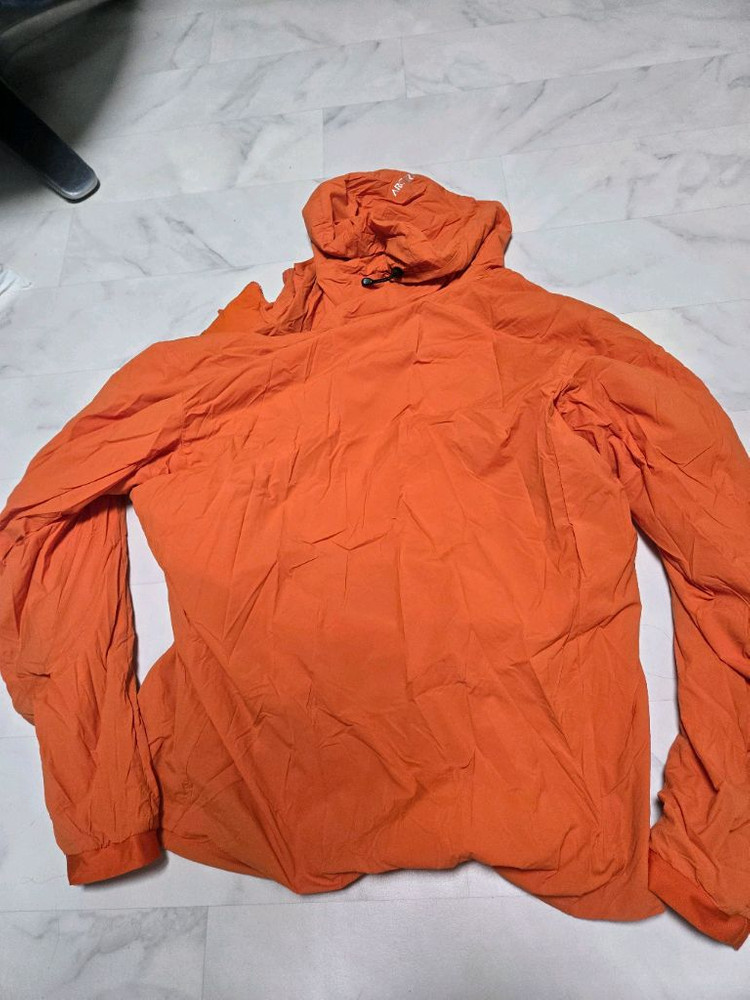 아크테릭스 프로톤라이트웨이트 후디 페놈 색상 L사이즈 팝니다. 이미지