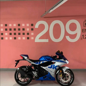 2021년식 스즈키 gsx-r125 이미지