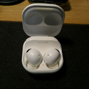 갤럭시 버즈2 프로 Galaxy Buds2 Pro SM-R510 이미지