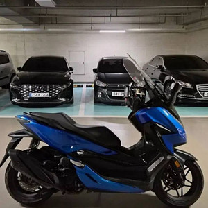 포르자350 21년식 이미지