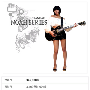 에일린 레스폴 일렉기타 이미지