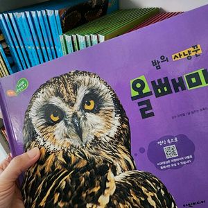 탄탄 와이드 자연속으로 완결판 이미지