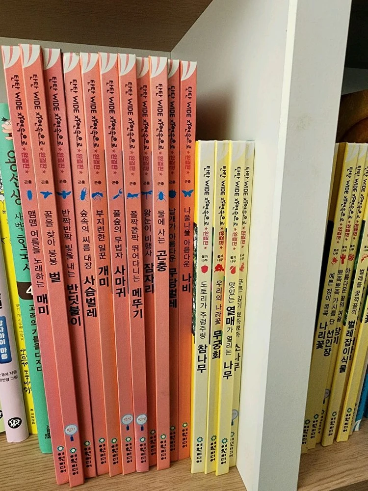 탄탄 와이드 자연속으로 완결판 이미지