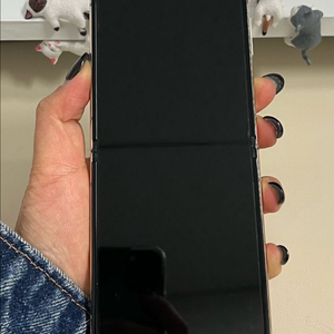 갤럭시Z플립4 256G 핑크골드 S급! 이미지