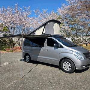 그랜드 스타렉스 정품 루프탑 캠핑카 이미지