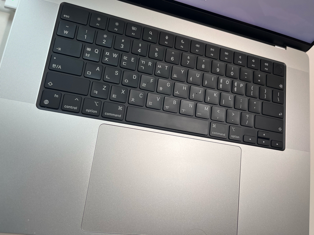 맥북프로 16인치 M4 pro / 램 48GB / 1TB / 실버 이미지