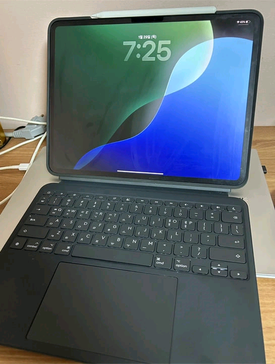 아이패드 13 프로 13인치 M4 512GB, 애플펜슬 거의 새것 (애플케어+) 이미지