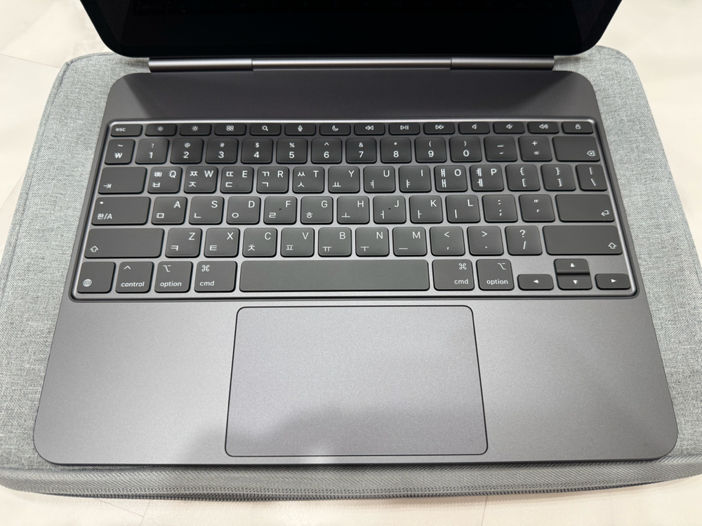 아이패드프로 13 M5 1TB 블랙 셀룰러 판매합니다 이미지