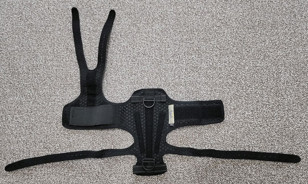 펫츠오앤피 강아지 척추디스크 보호대 이미지