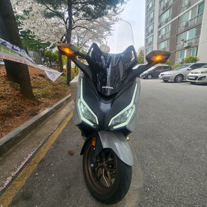 포르자350 25년식 배달세팅 이미지