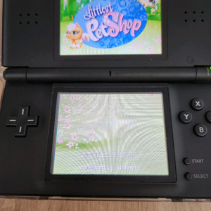 닌텐도 DS 리틀리스트 팻샵 가든 판매합니다 이미지