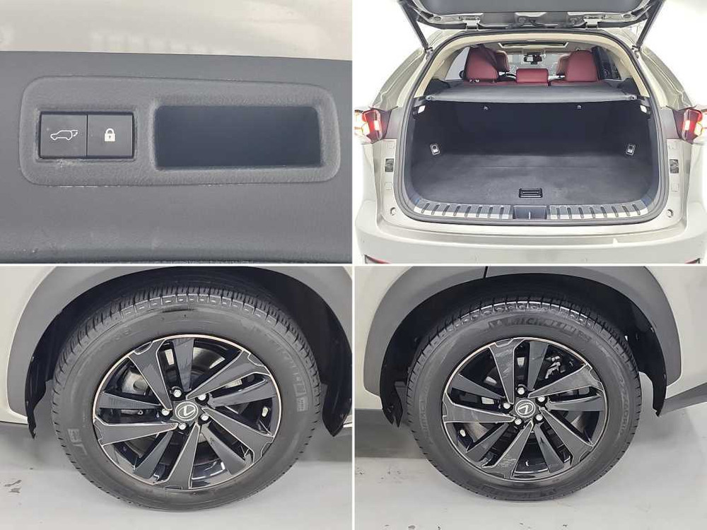 렉서스 NX 300h 이그제큐티브 이미지