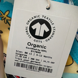 던스 비치돼지 덩가리 80 이미지