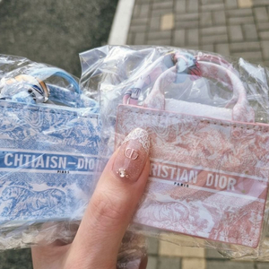 디올 미니백 이어폰백 동전지갑 디오르 미니백 키링 이미지