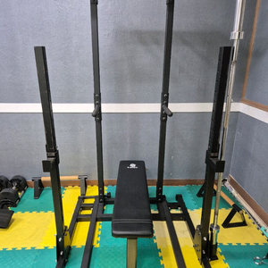 힘콩철봉+플라이 / 중량원판+바벨 판매합니다 이미지