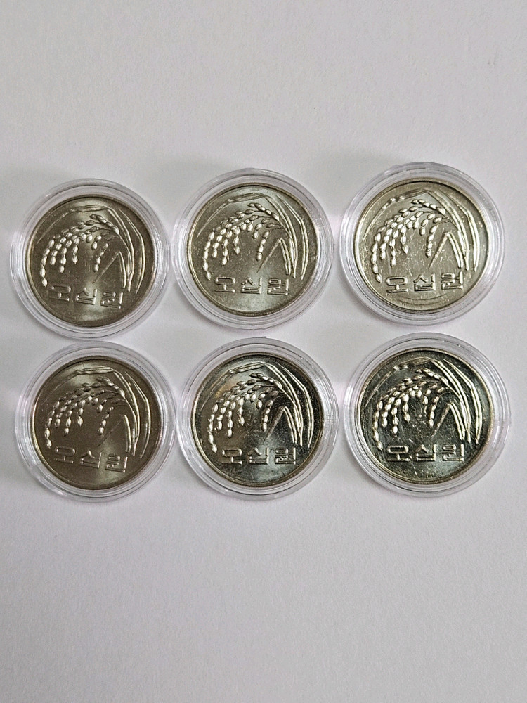 2014년 50주6개 이미지