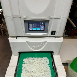 럭키이엔지 김밥 기계 LCR-700 라이스시트기 김밥시트기 판매합니다 이미지