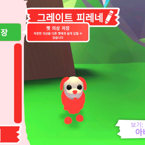 입양하세요 펫 메가네온 그레이트 피레네 판매합니다 이미지