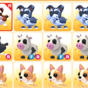 입양하세요 이미지