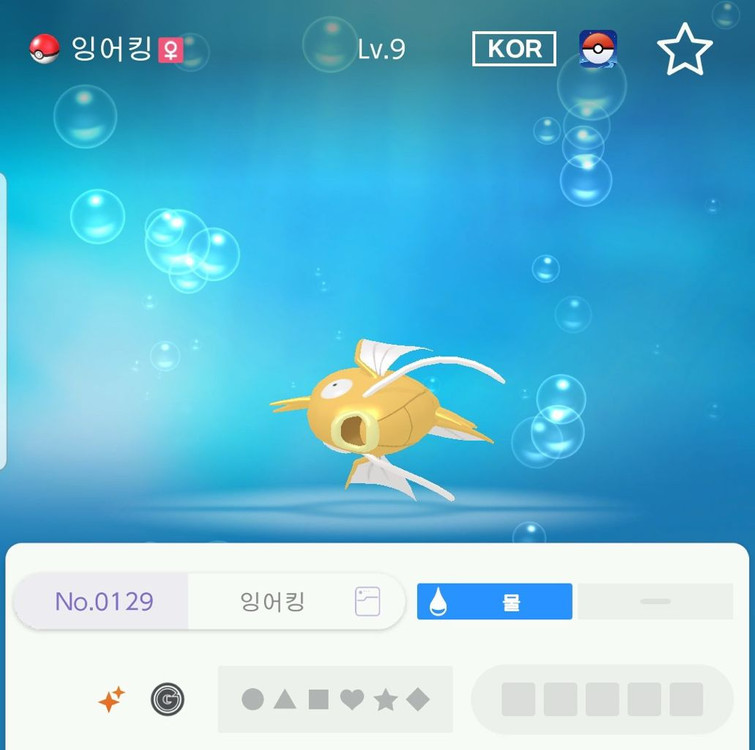 이로치 10마리 포켓몬스터 스칼렛 바이올렛 닌텐도 스위치2 챔스 챔피언스 소드 실드 za 이미지