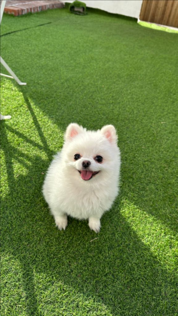 프로필 이미지