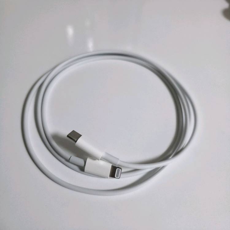 애플 정품 C타입 라이트닝 8핀 케이블 이미지