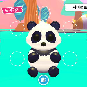 입양하세요 펫 자이언트 판다(자판) 판매합니다 이미지