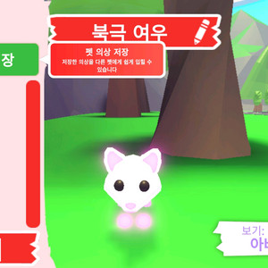 입양하세요 펫 네온 북극 여우(네북여)판매합니다 이미지