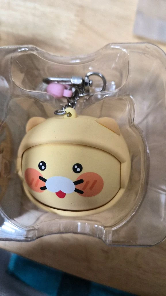춘식이 무선이어폰 이미지