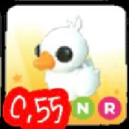 입양하세요 해피아기오리 이미지