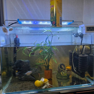 어항세트 이미지