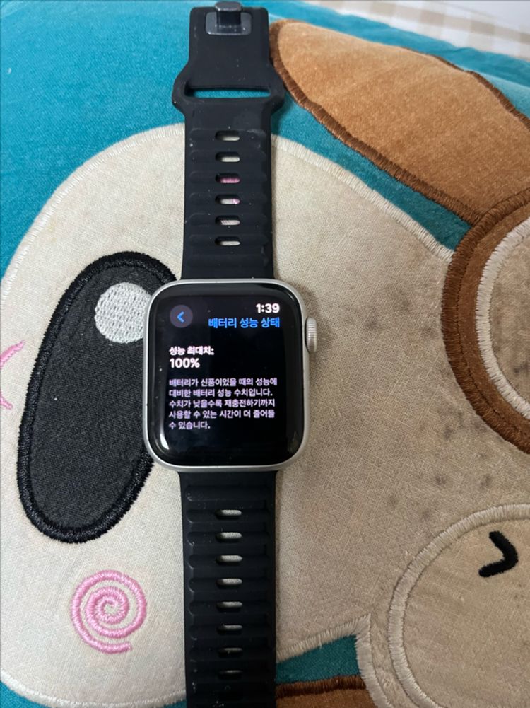 애플워치 SE 실버 40mm + 메탈/스포츠 스트랩 이미지