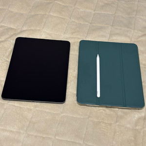 아이패드 프로 11 1세대 256기가 상태좋음 (애플펜슬 2세대 포함) 이미지