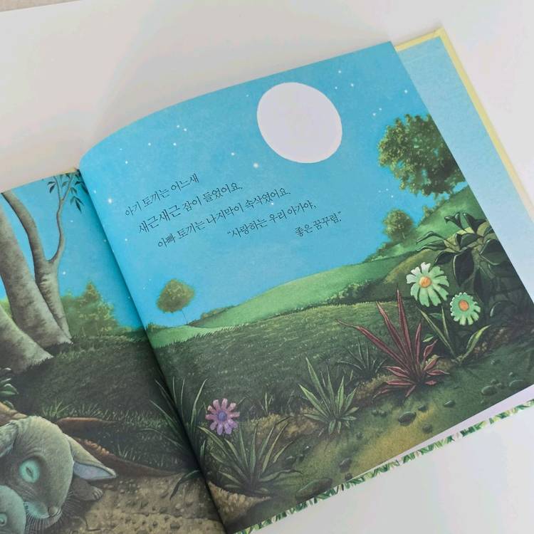 사파리 창작 잠자리 도서 9권 이미지