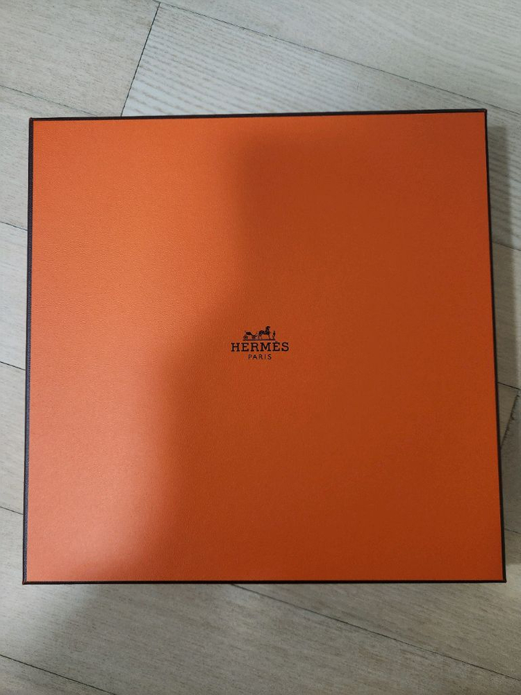 에르메스 Le Regard de LArctique Scarf 90 이미지