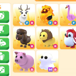 입양하세요 펫 판매합니다 (가격제시) 이미지