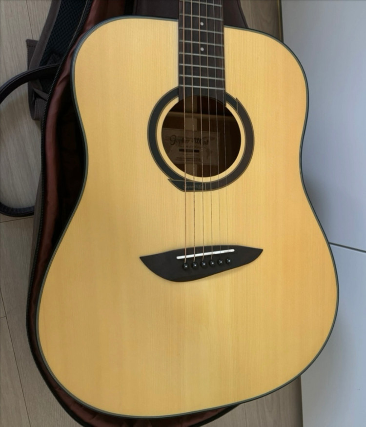 통기타 고퍼우드 g100 풀세트 팝니다 이미지