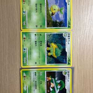옛날 포켓몬카드 토대부기 lv 카드 진화체 일괄 이미지