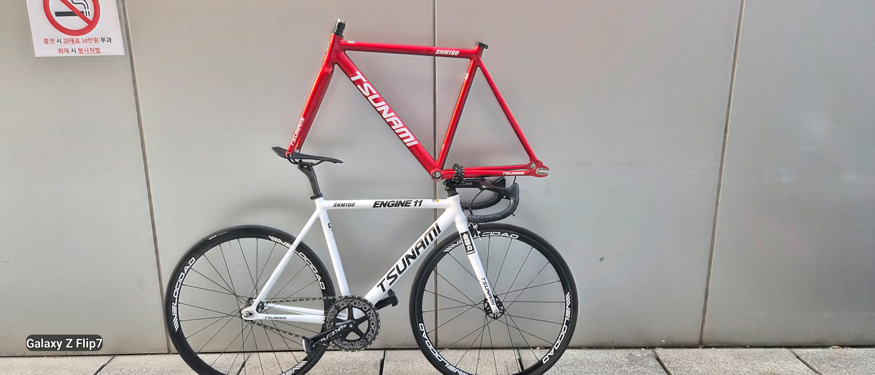 쓰나미 화이트 M사이즈 대차 이미지