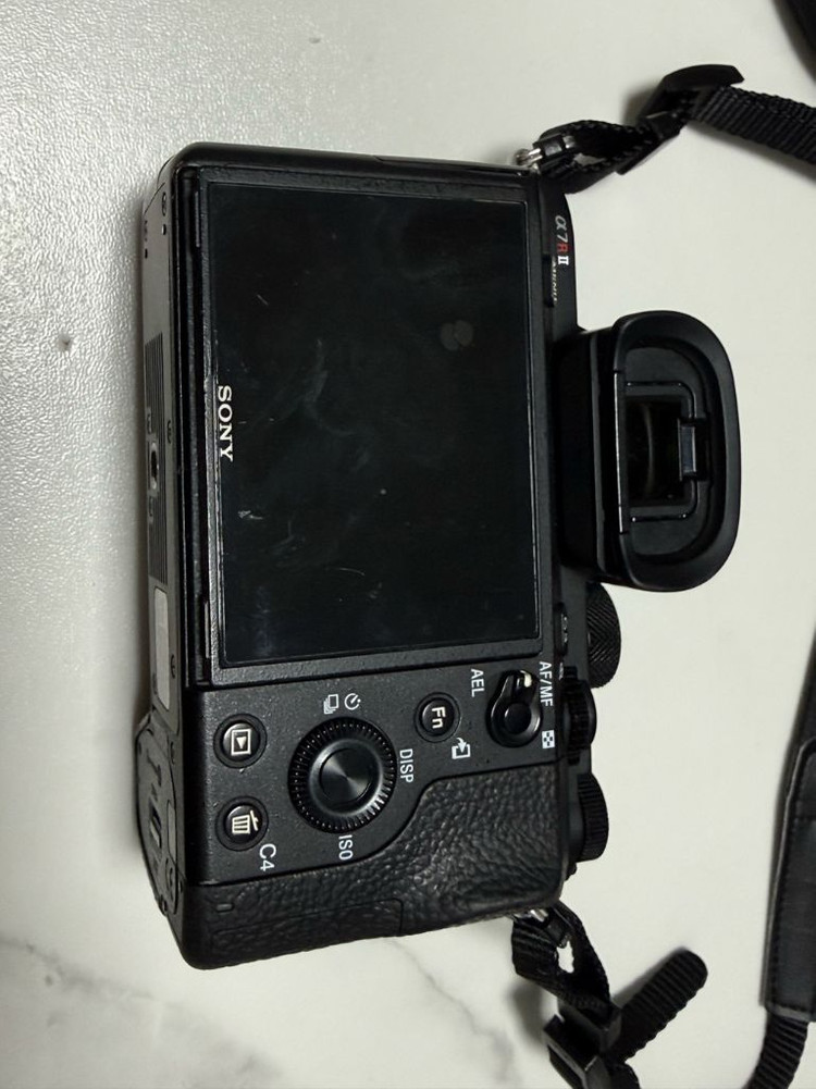 소니 a7r2 미러리스 풀프레임 카메라 이미지