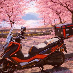 킴코 dtx360 세계최저가 기름만넣고 타세요 좋아요 이미지