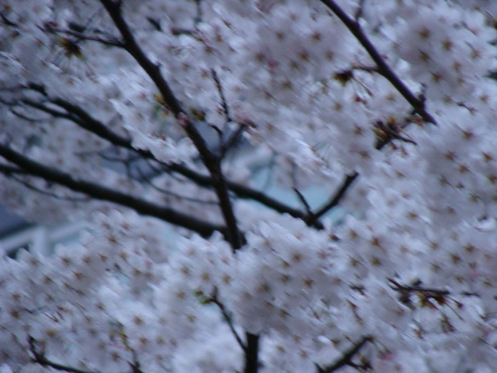 소니 사이버샷 DSC-H3 카 레트로 디카 빈티지 이미지