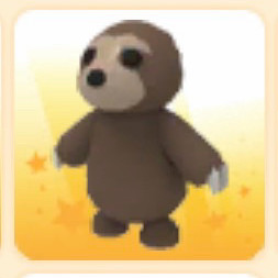 입양하세요 펫 나무늘보 이미지