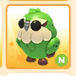 입양하세요 펫 카카포 네온 이미지