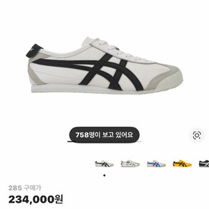 오니츠카타이거