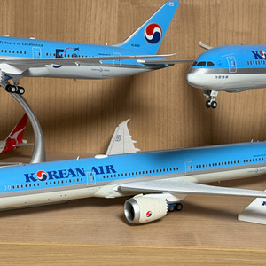 1:200 대한항공 B78X HL8536 다이캐스트 판매 이미지