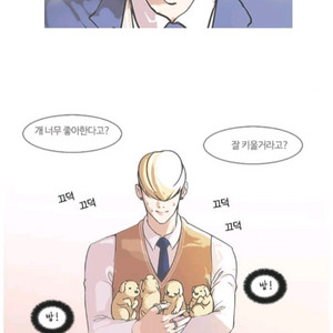 구함)입양하세요 산비둘기 펫 삽니다 구매합니다 구해요 사요 이미지