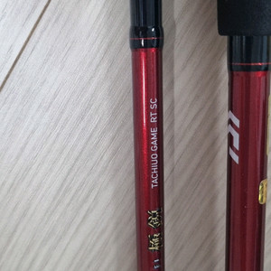 다이와 쿄쿠에이 타치우오 rt sc 이미지